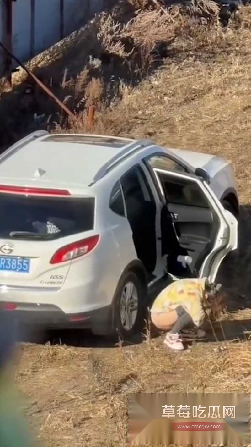 全网爆火辽源吉DR3855车震大瓜 2 全网爆火辽源吉DR3855车震大瓜 2