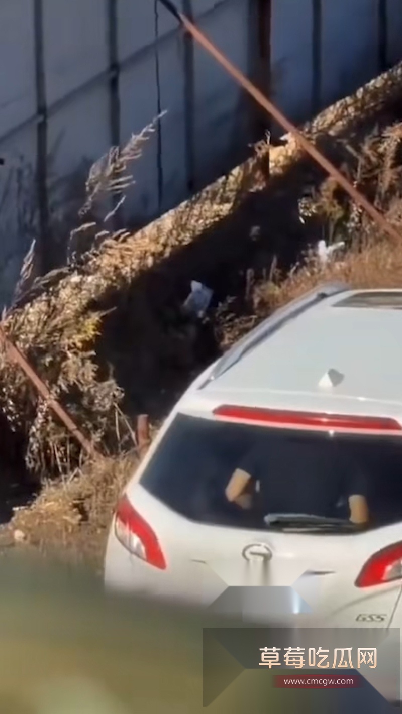 全网爆火辽源吉DR3855车震大瓜 4 全网爆火辽源吉DR3855车震大瓜 4