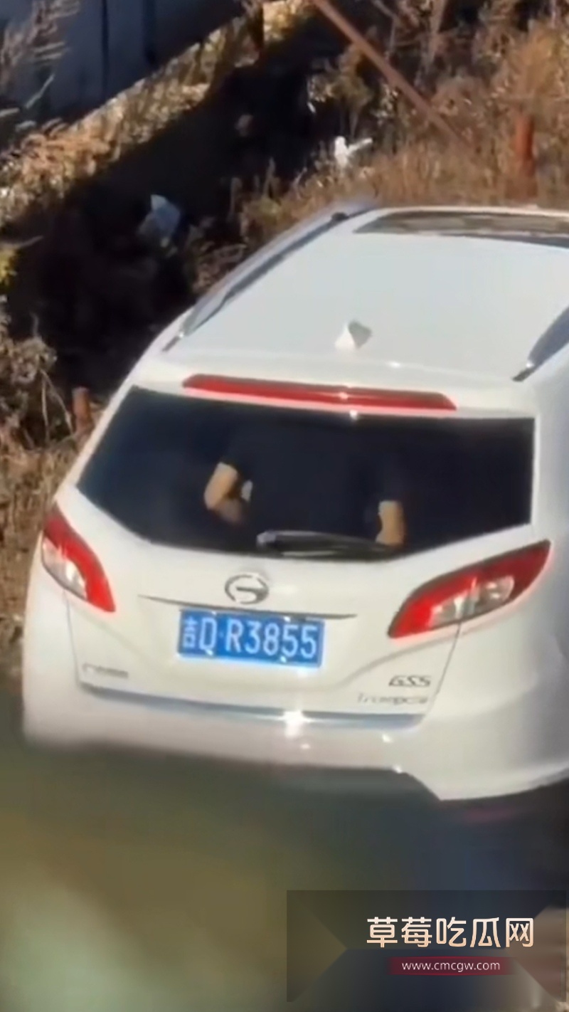 全网爆火辽源吉DR3855车震大瓜 5 全网爆火辽源吉DR3855车震大瓜 5