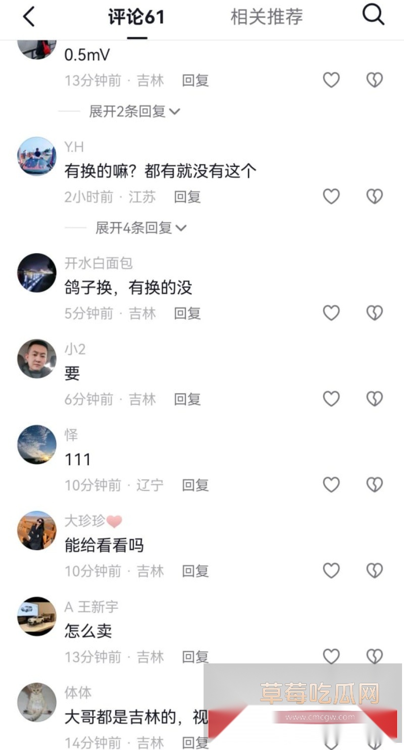 全网爆火辽源吉DR3855车震大瓜 9 全网爆火辽源吉DR3855车震大瓜 9