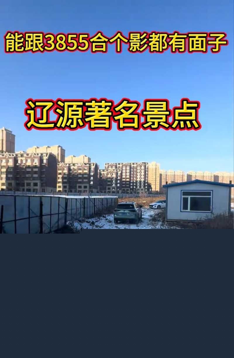 全网爆火辽源吉DR3855车震大瓜 11 全网爆火辽源吉DR3855车震大瓜 11