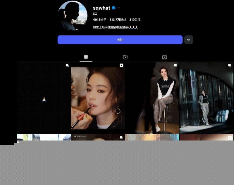 女明星舒淇的简介1