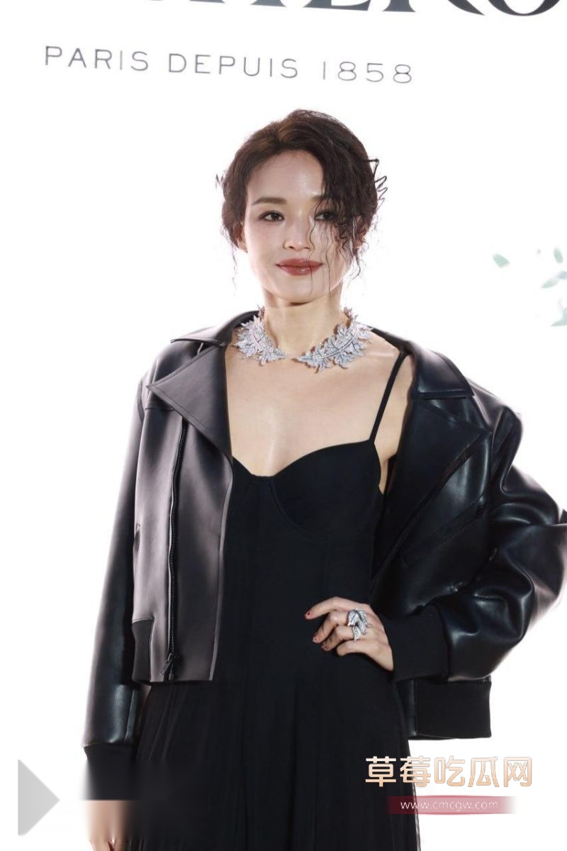 女明星舒淇的简介4