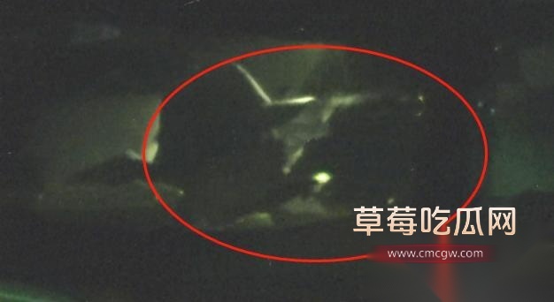 内地美艳女演员张俪 刚凭借新剧全裸露背镜头登上热搜 10 内地美艳女演员张俪 刚凭借新剧全裸露背镜头登上热搜 10