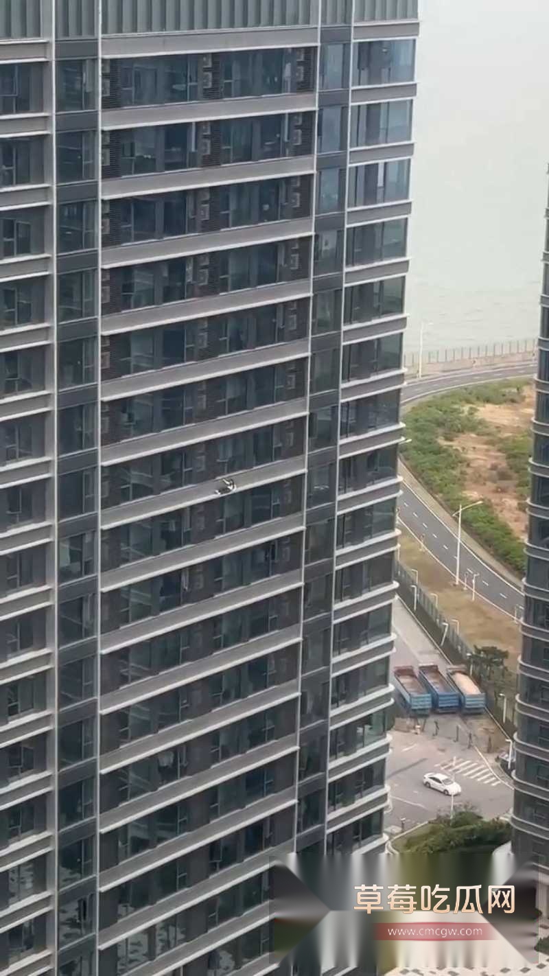 深圳湾悦府二期女子高空坠楼全过程清晰曝光 2 深圳湾悦府二期女子高空坠楼全过程清晰曝光 2