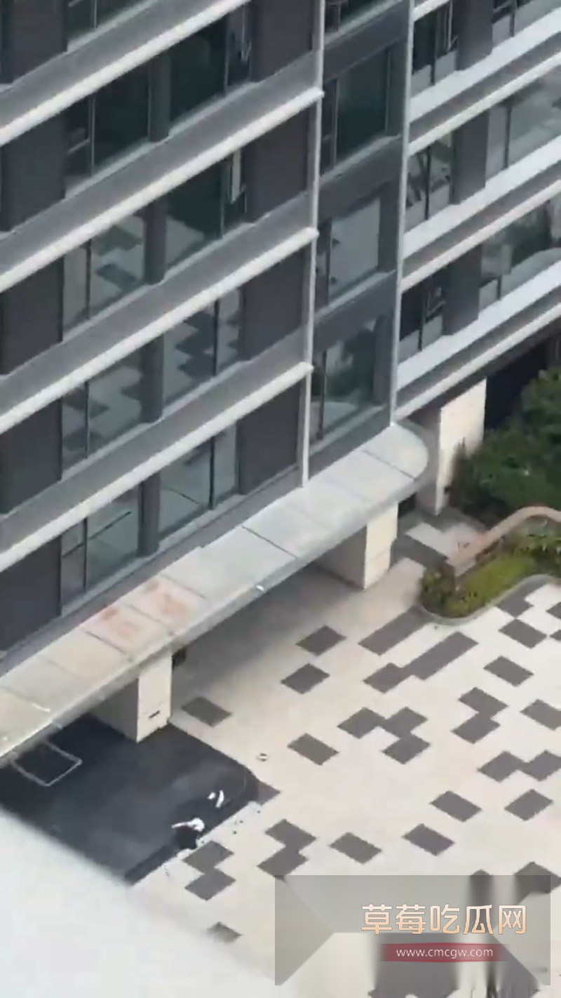 深圳湾悦府二期女子高空坠楼全过程清晰曝光 6 深圳湾悦府二期女子高空坠楼全过程清晰曝光 6