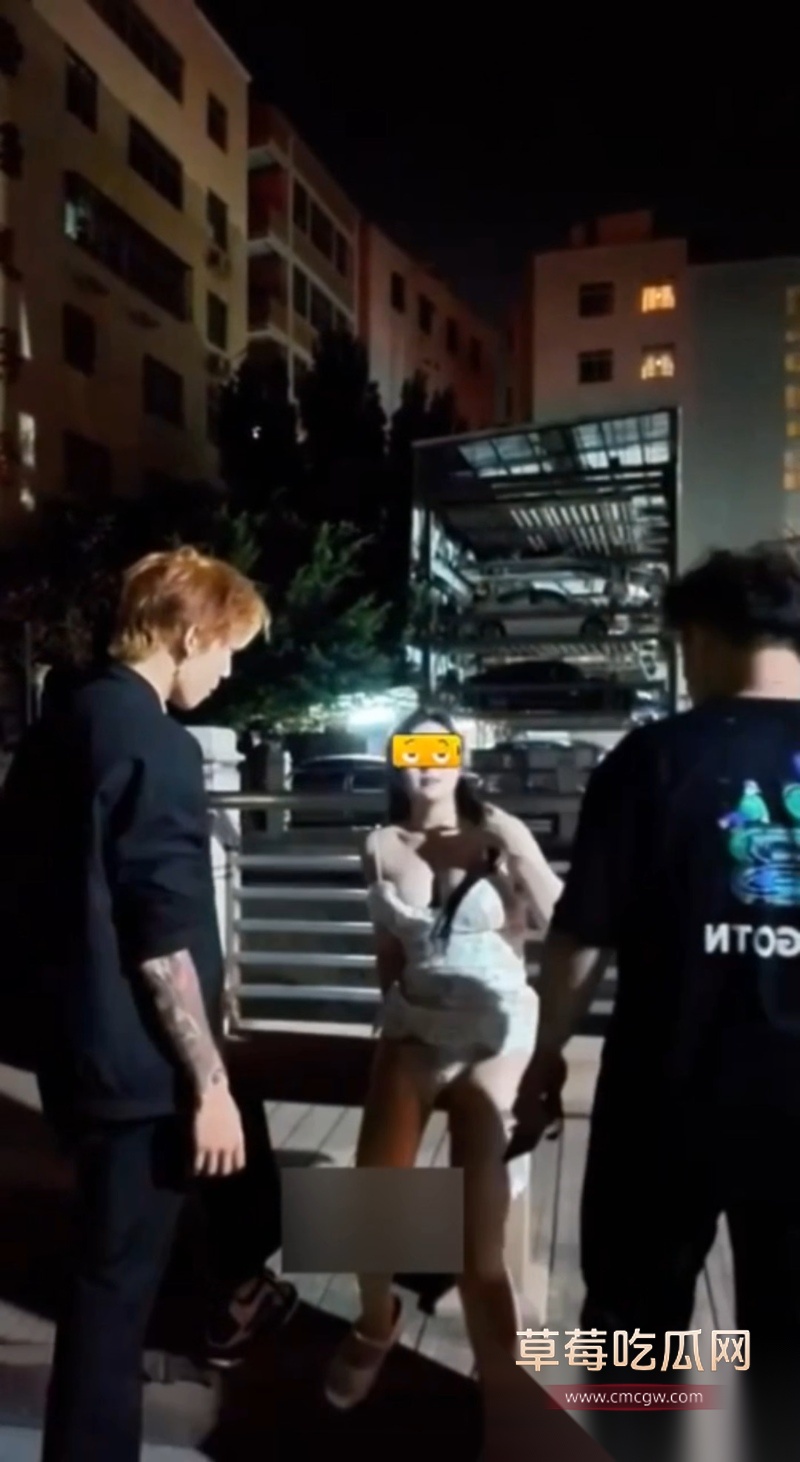 推特极品身材露出母狗 江小凡 5