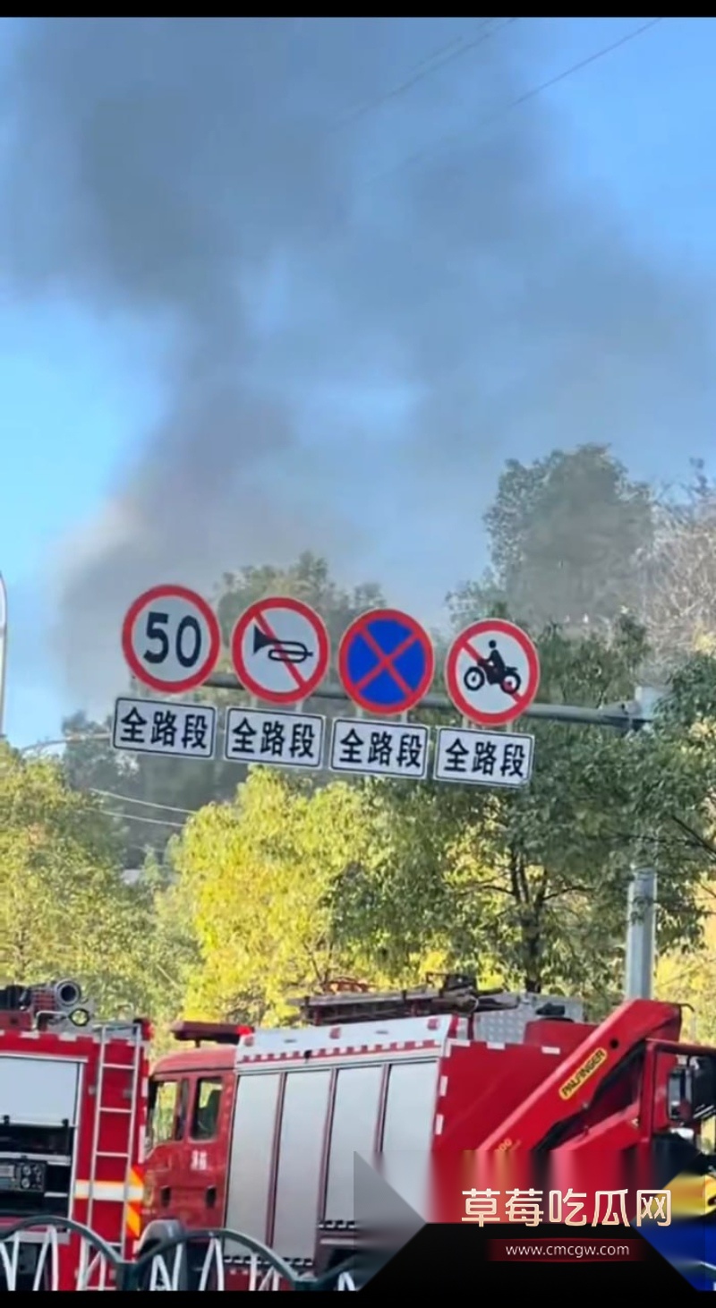 湖南郴州烟花店老板彭海勇  7