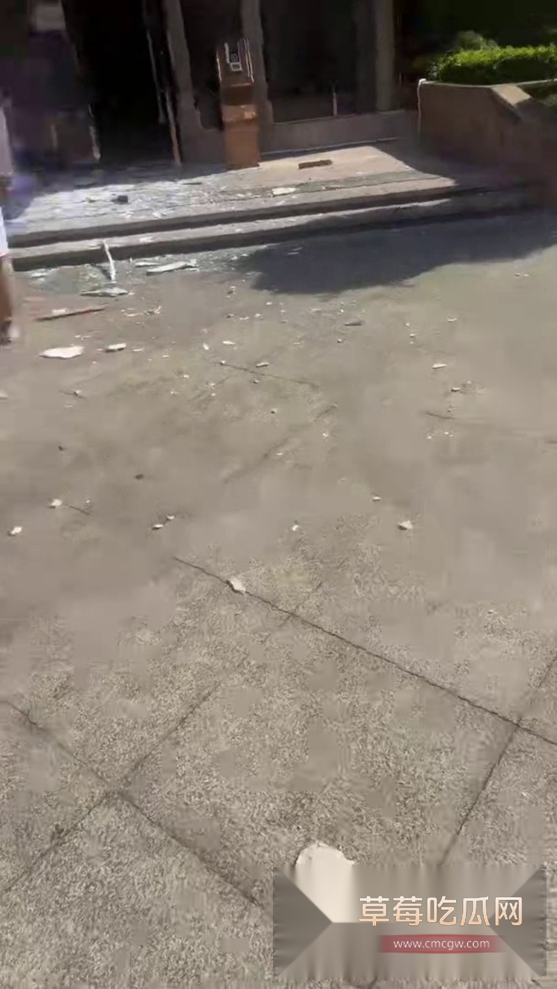 丽柏公馆惊险一幕 1