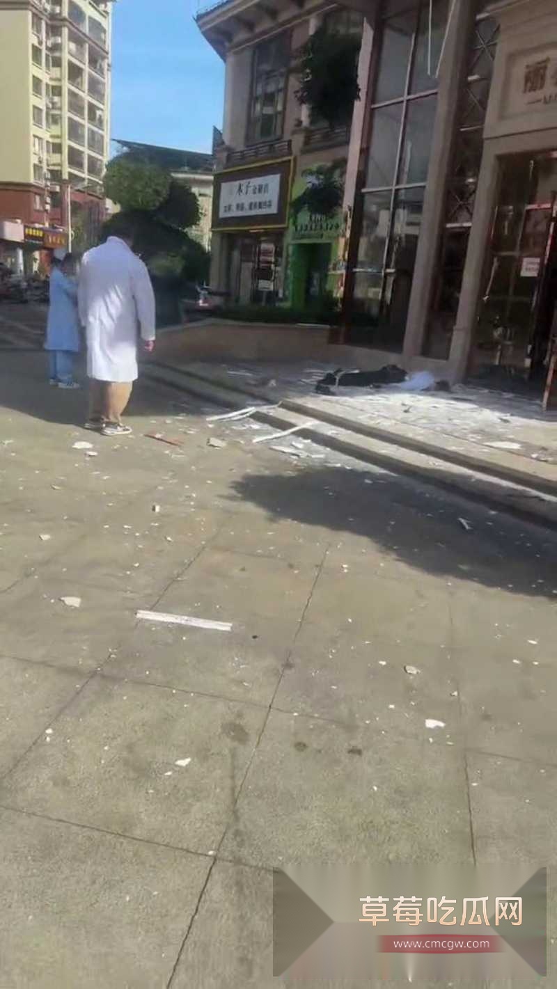 丽柏公馆惊险一幕 2