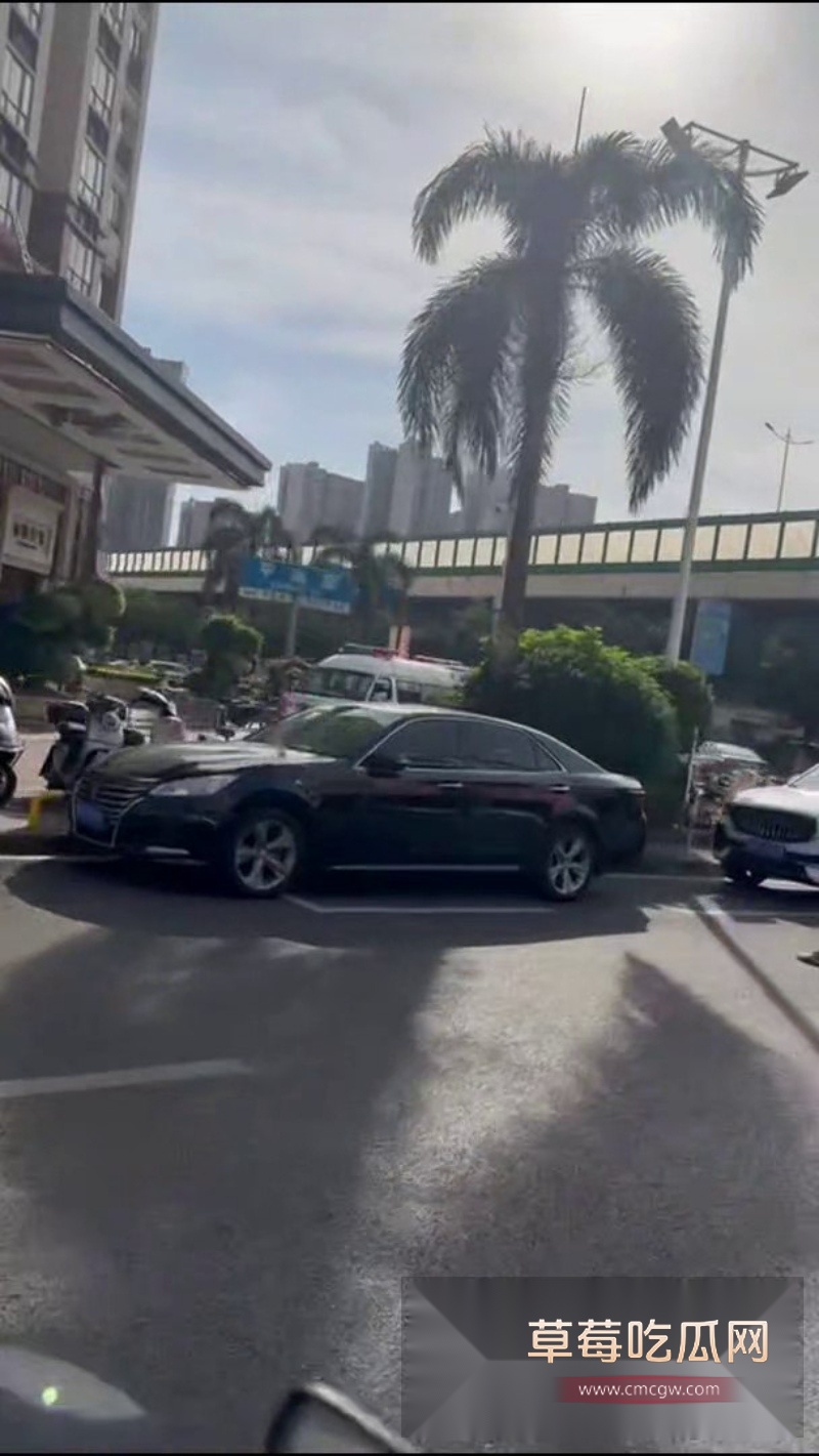 丽柏公馆惊险一幕 6