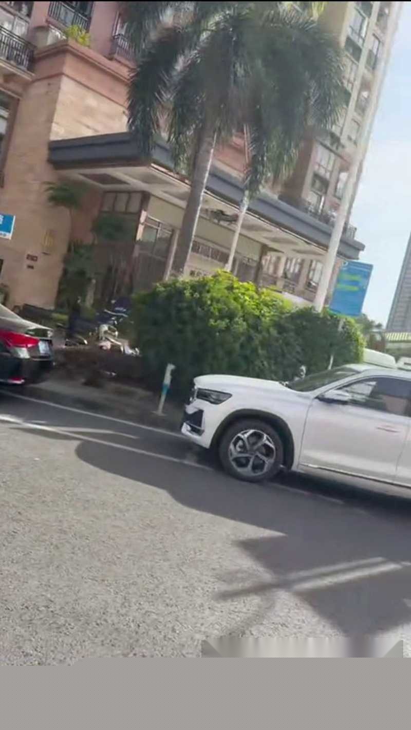 丽柏公馆惊险一幕 7