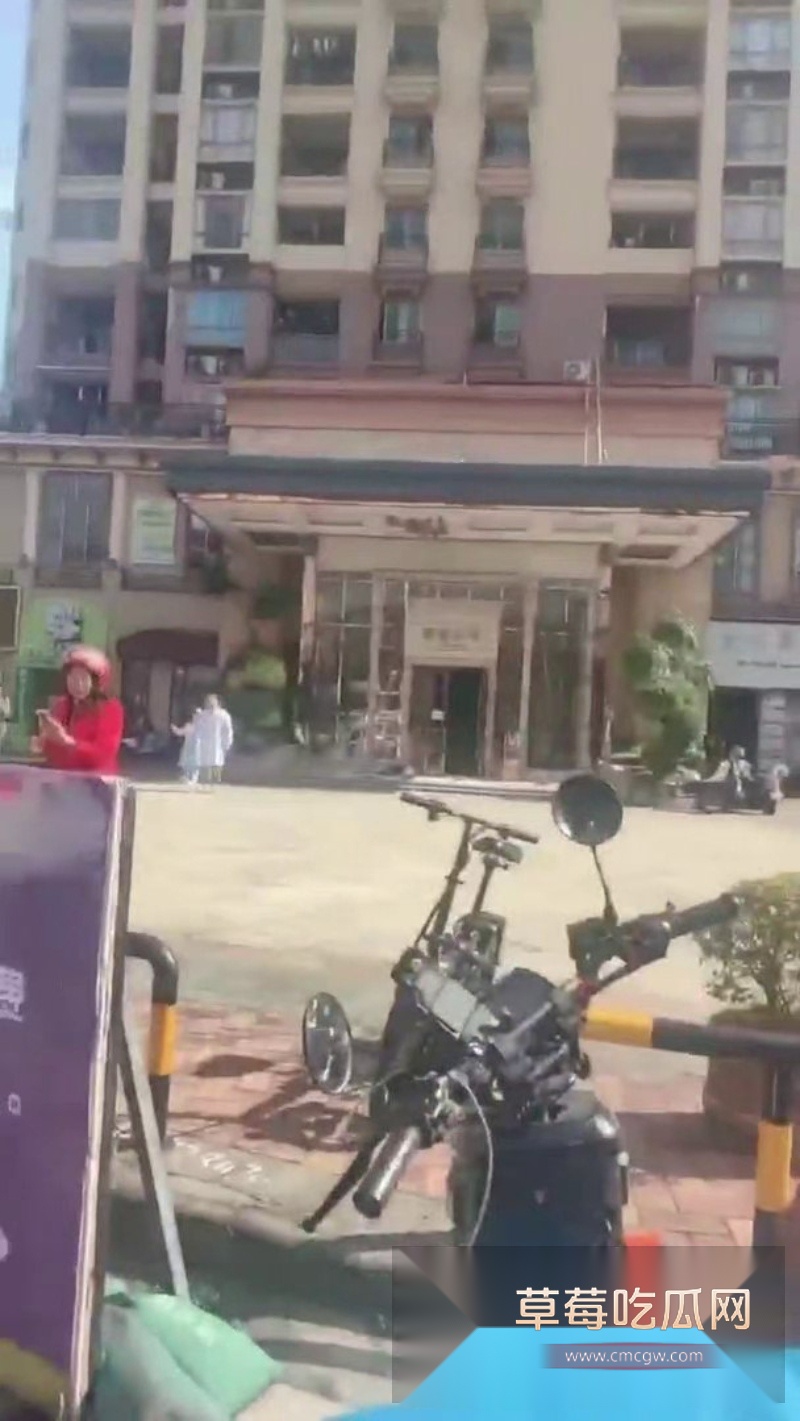 丽柏公馆惊险一幕 8