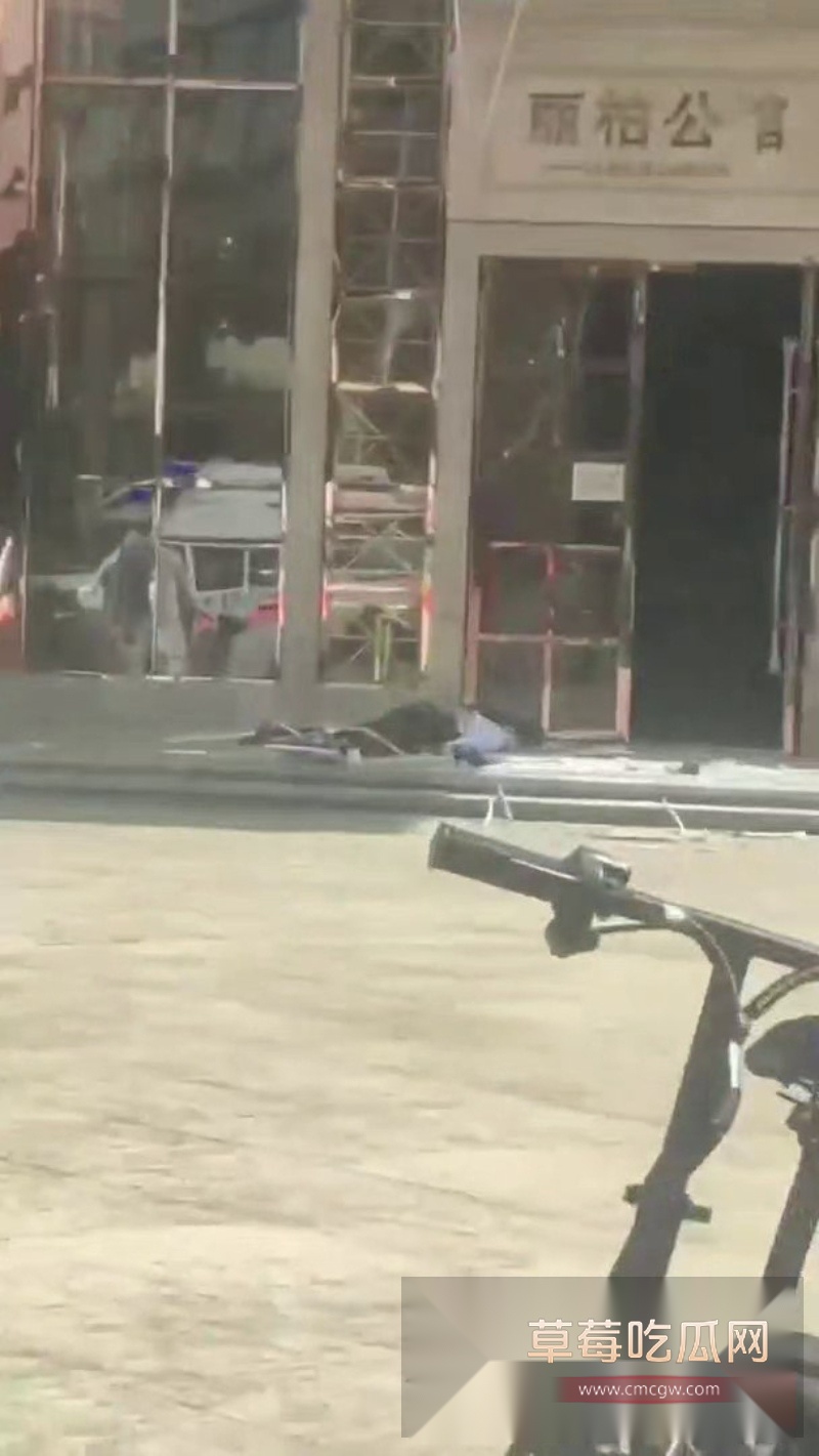 丽柏公馆惊险一幕 9