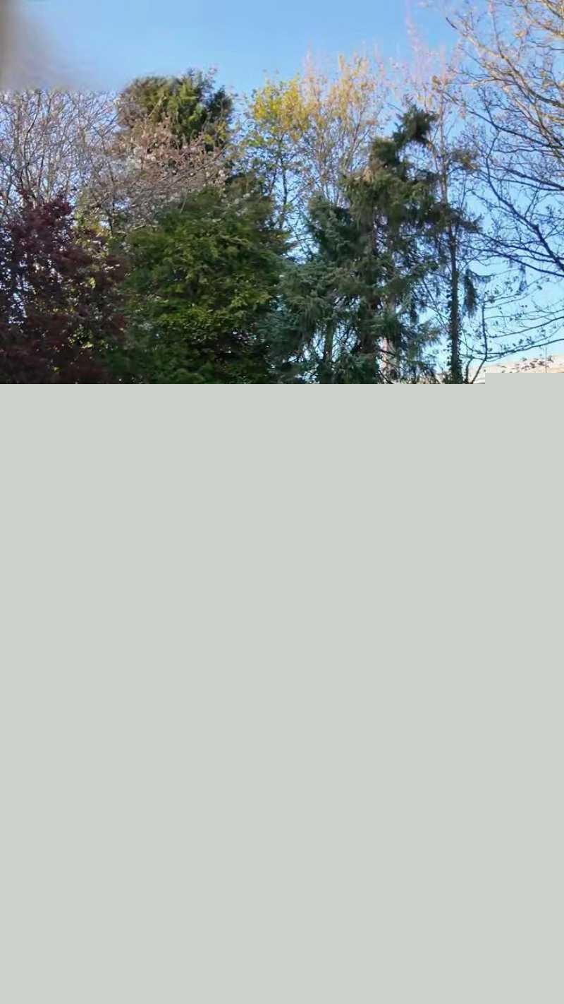 推特极品阿黑颜Pupu噗噗 1 推特极品阿黑颜Pupu噗噗 1