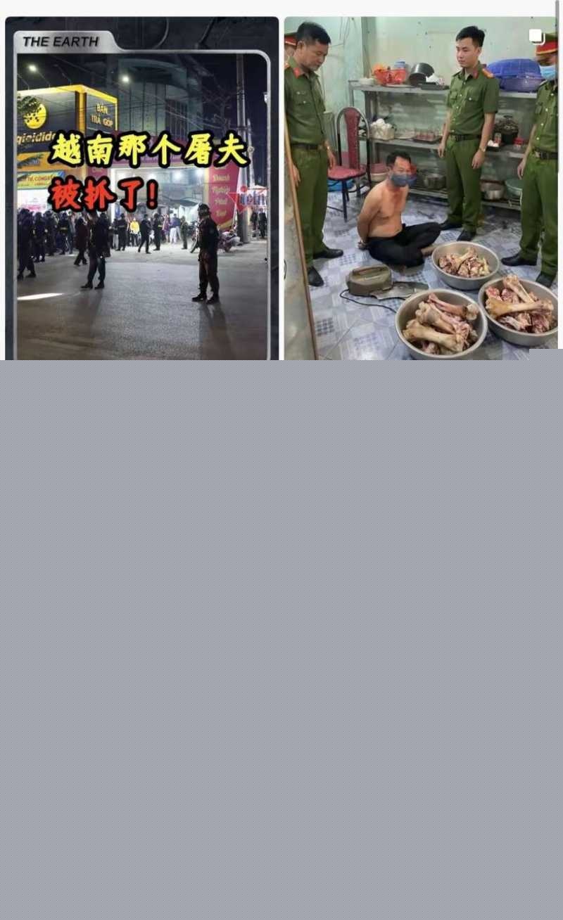 震惊全世界阮春达案的刽子手 越南屠夫落网 2 震惊全世界阮春达案的刽子手 越南屠夫落网 2