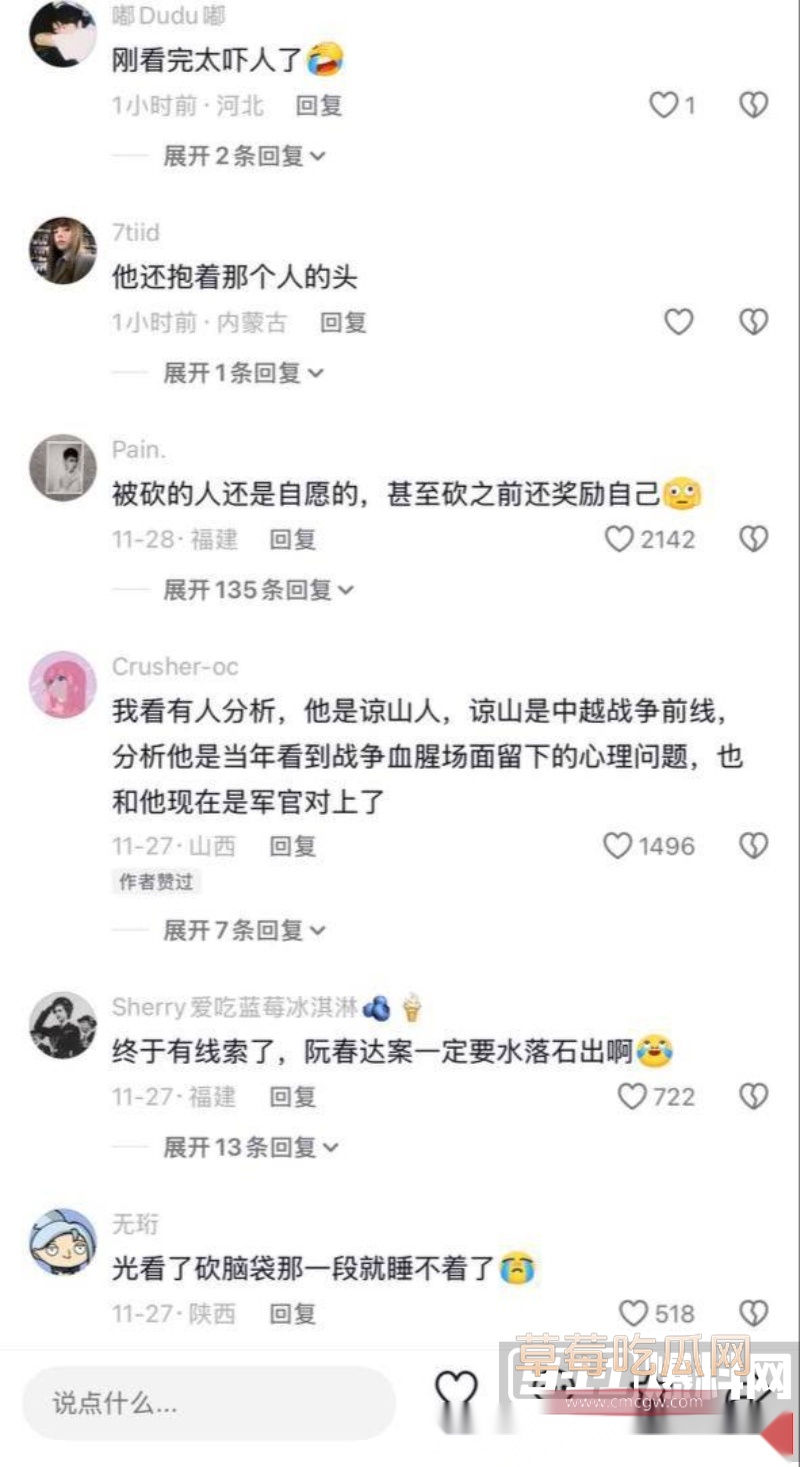 震惊全世界阮春达案的刽子手 越南屠夫落网 19 震惊全世界阮春达案的刽子手 越南屠夫落网 19