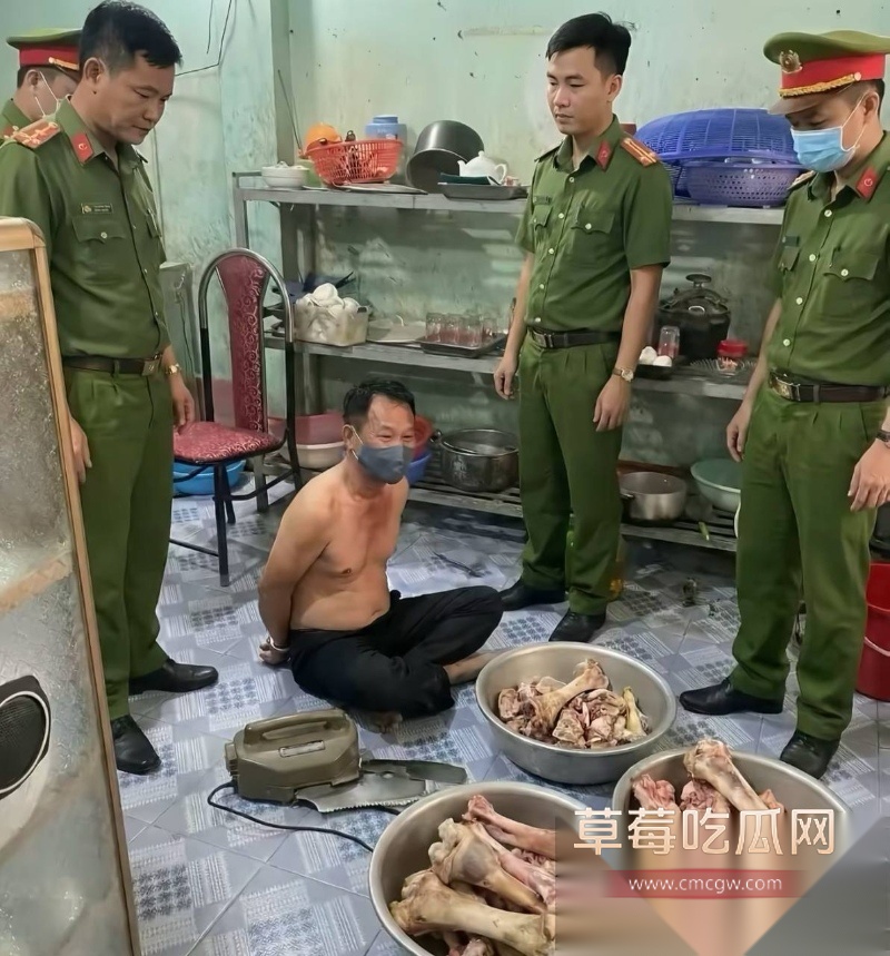 震惊全世界阮春达案的刽子手 越南屠夫落网 23 震惊全世界阮春达案的刽子手 越南屠夫落网 23