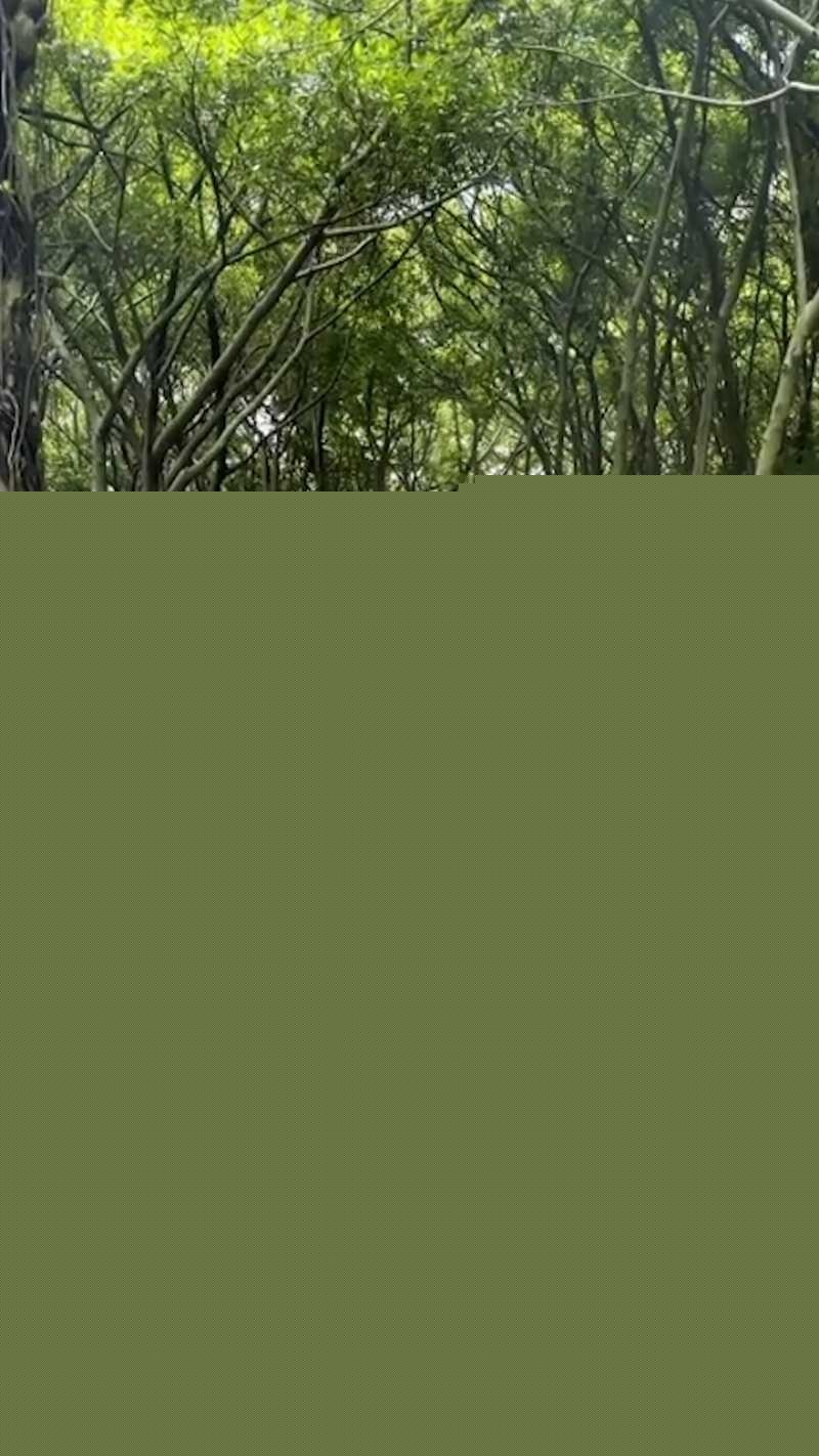 顶级露出达人 TonyJ和贝贝 最新沙县小吃店露出视频全网爆火 3