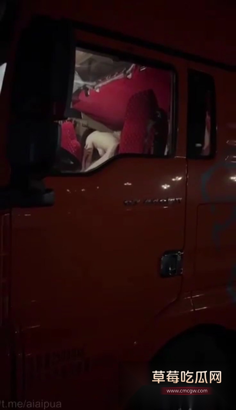 甘肃玉门顺鑫服务站因大货车司机点鸡视频火出圈 5