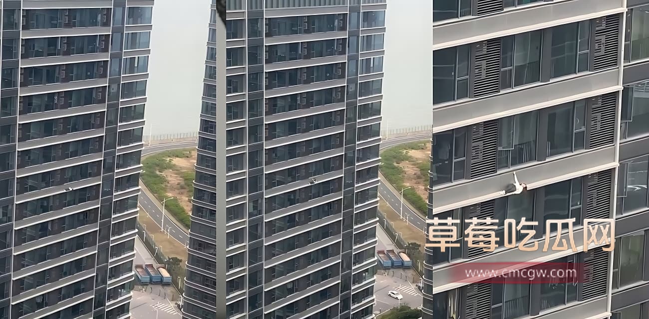 女子高空坠楼.jpg 女子高空坠楼.jpg