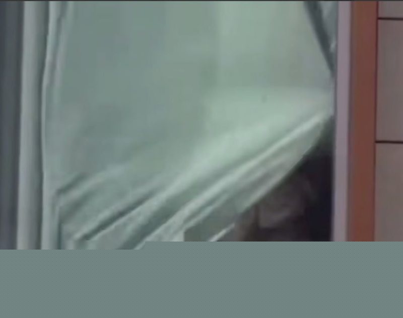 酒店窗前惊现情侣激情戏码2