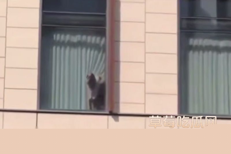 酒店窗前惊现情侣激情戏码3