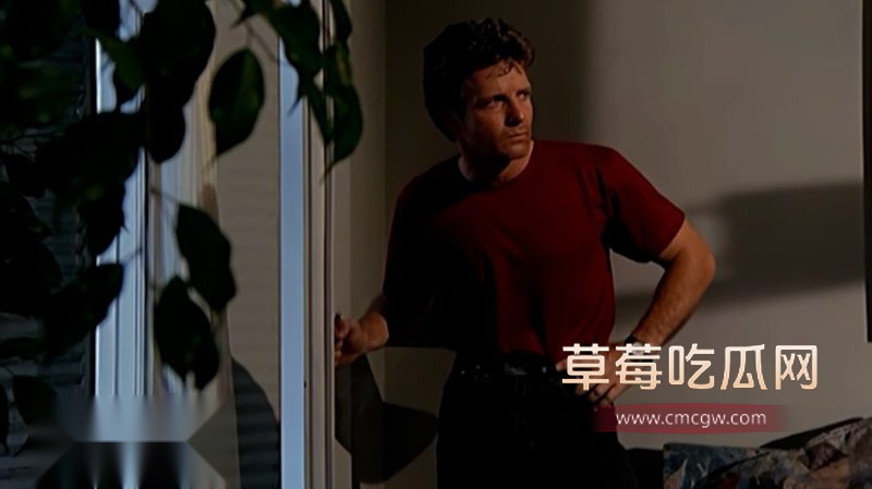 意大利1992电影《桃色情人》1