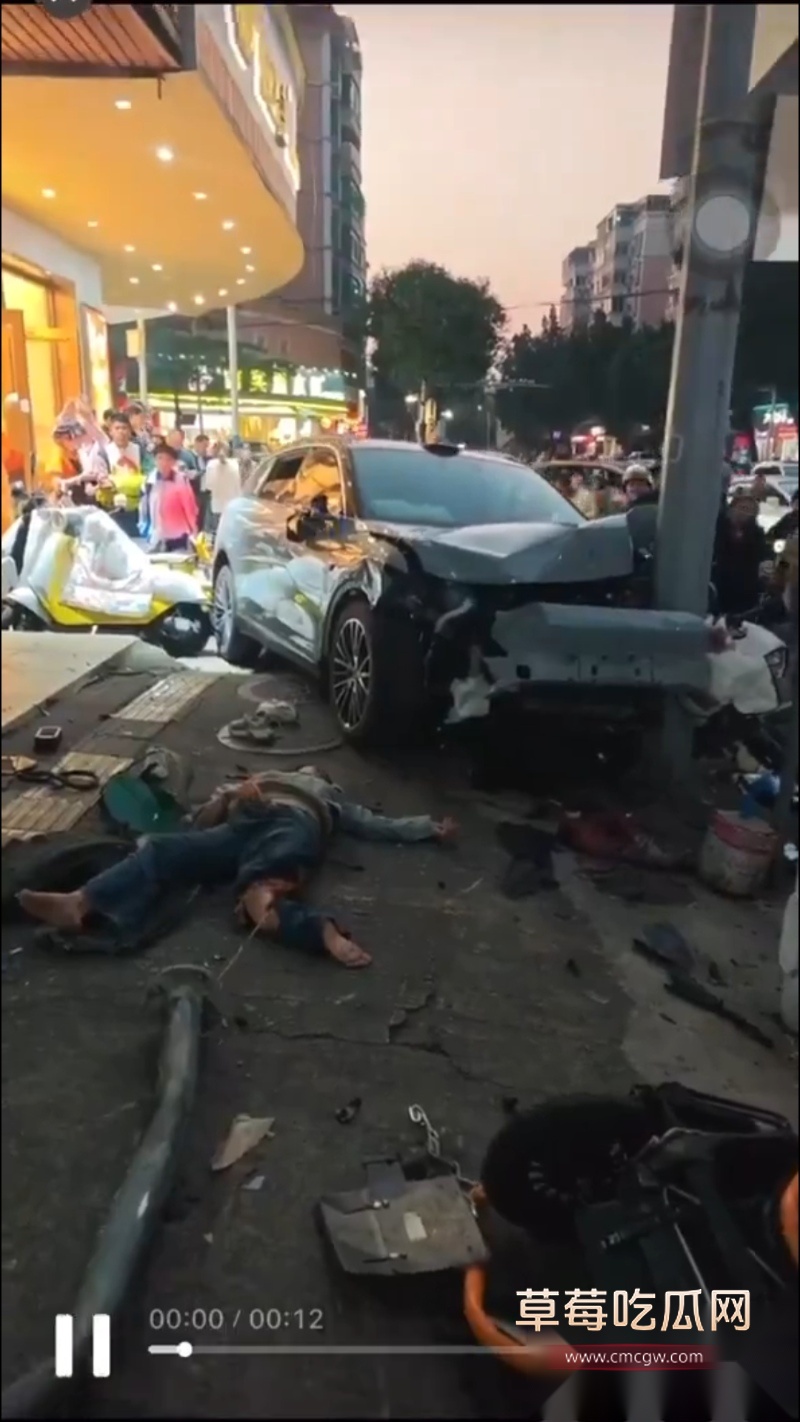 广州汽车冲撞行人事件 9 广州汽车冲撞行人事件 9
