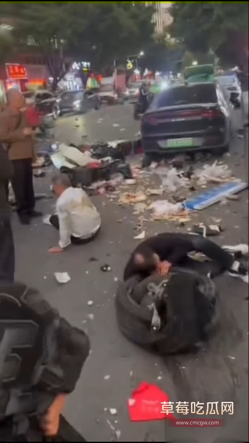 广州汽车冲撞行人事件 15 广州汽车冲撞行人事件 15