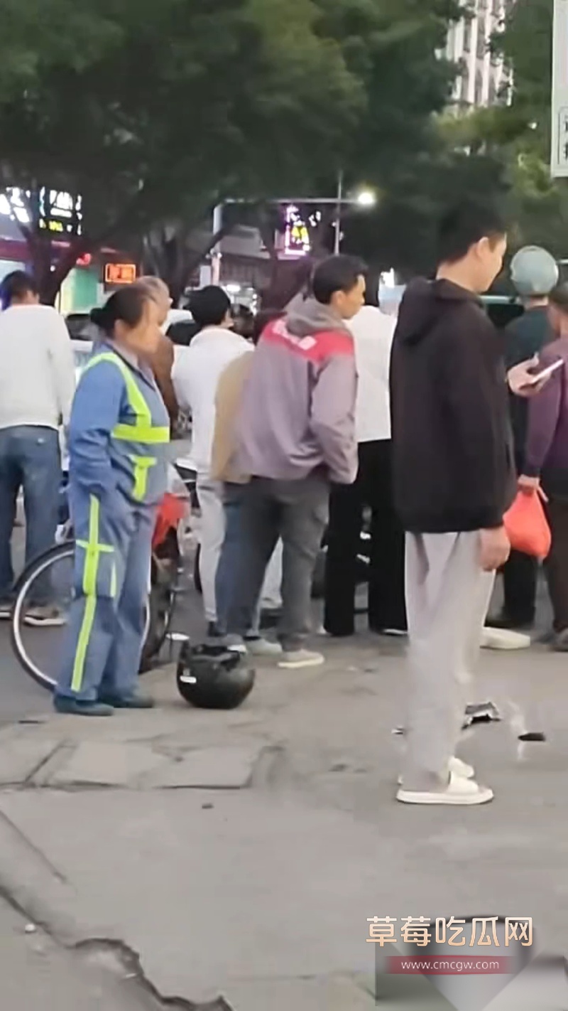 广州汽车冲撞行人事件 17 广州汽车冲撞行人事件 17