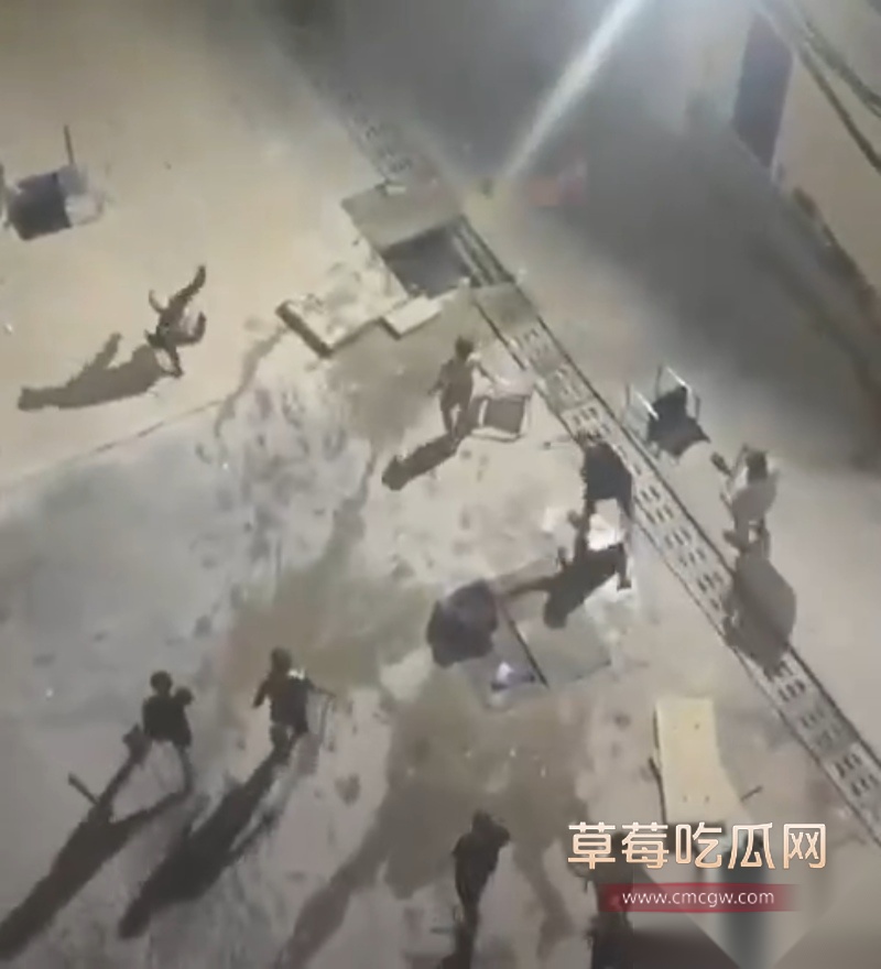 西港园区狗推与保安激烈干架全程曝光 1 西港园区狗推与保安激烈干架全程曝光 1