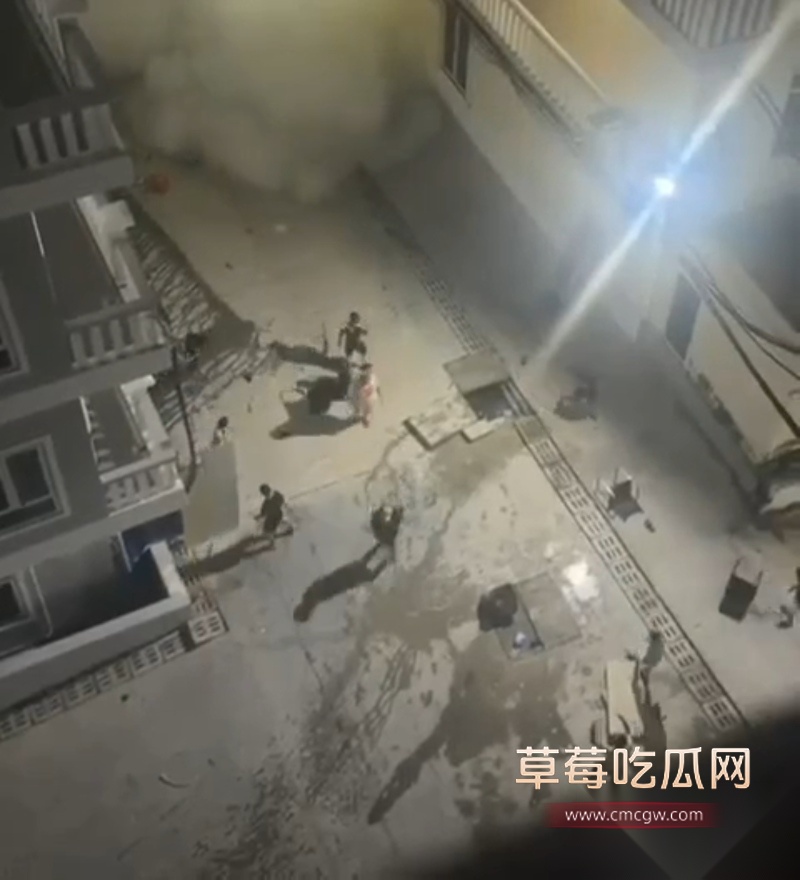 西港园区狗推与保安激烈干架全程曝光 2 西港园区狗推与保安激烈干架全程曝光 2