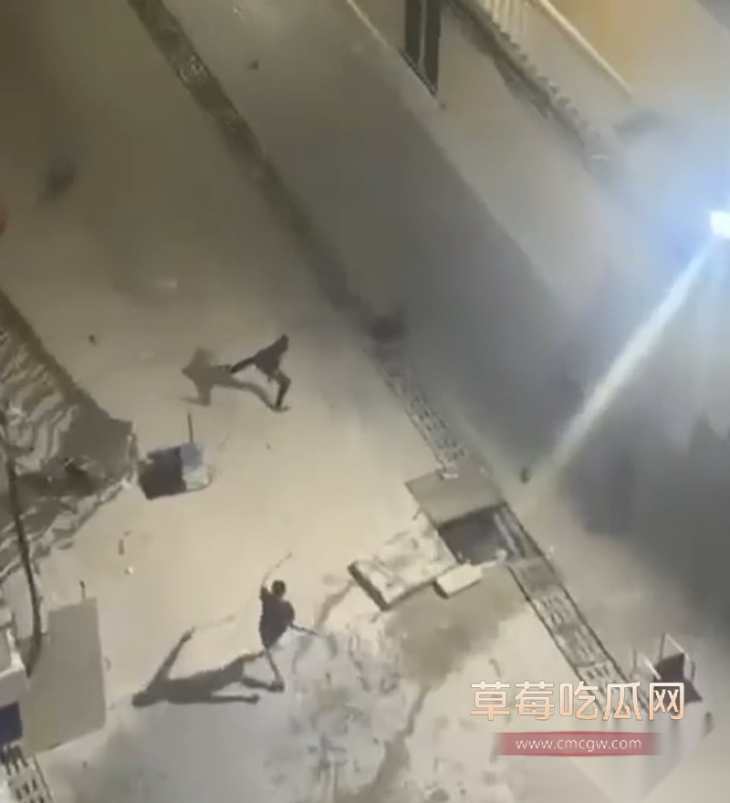 西港园区狗推与保安激烈干架全程曝光 3 西港园区狗推与保安激烈干架全程曝光 3