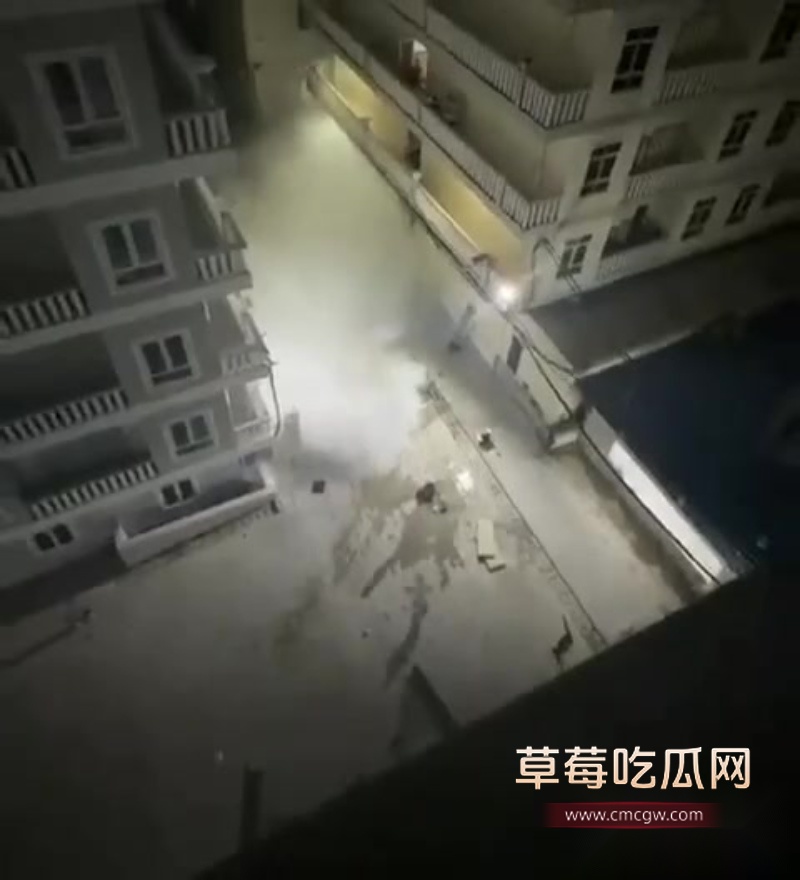 西港园区狗推与保安激烈干架全程曝光 4 西港园区狗推与保安激烈干架全程曝光 4