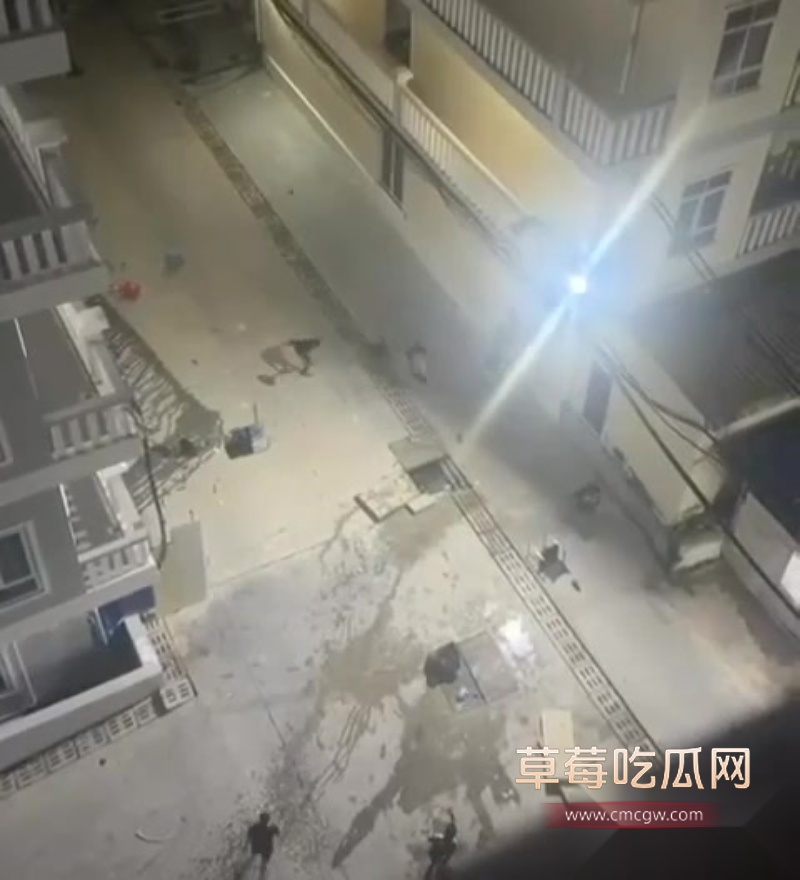 西港园区狗推与保安激烈干架全程曝光 5 西港园区狗推与保安激烈干架全程曝光 5