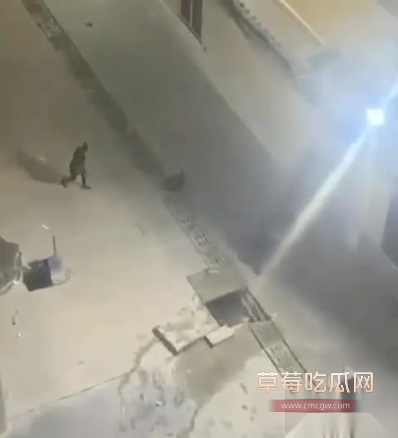 西港园区狗推与保安激烈干架全程曝光 6 西港园区狗推与保安激烈干架全程曝光 6