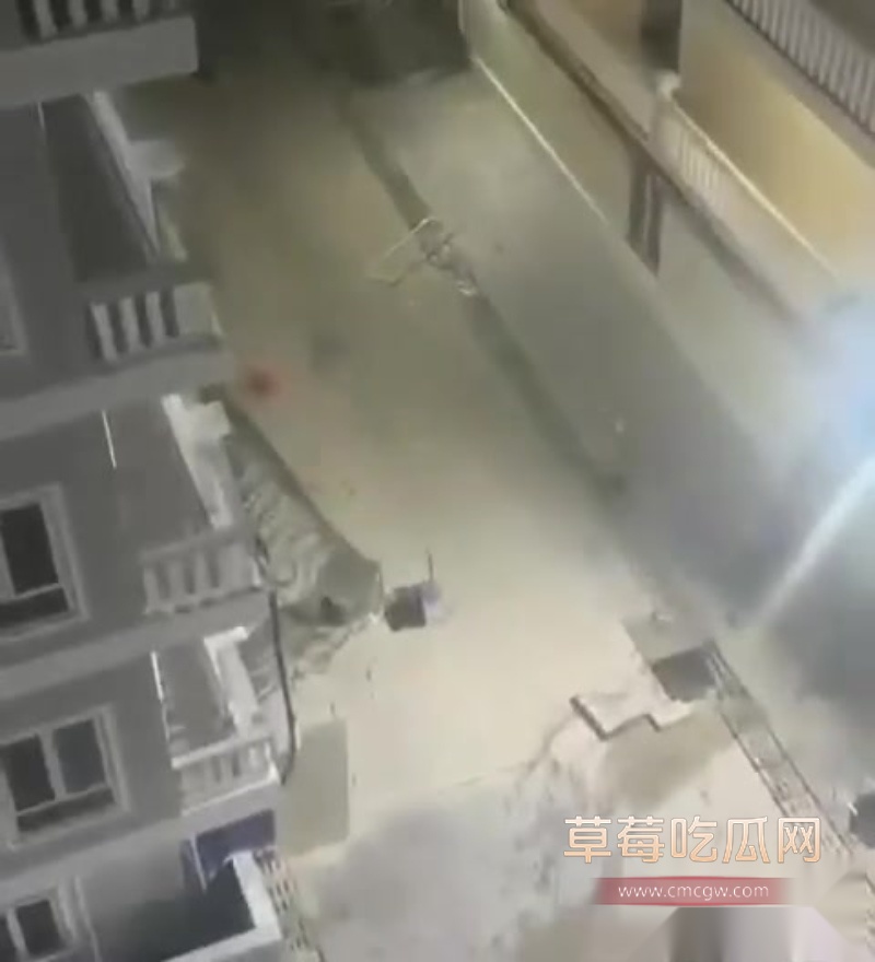 西港园区狗推与保安激烈干架全程曝光 7 西港园区狗推与保安激烈干架全程曝光 7