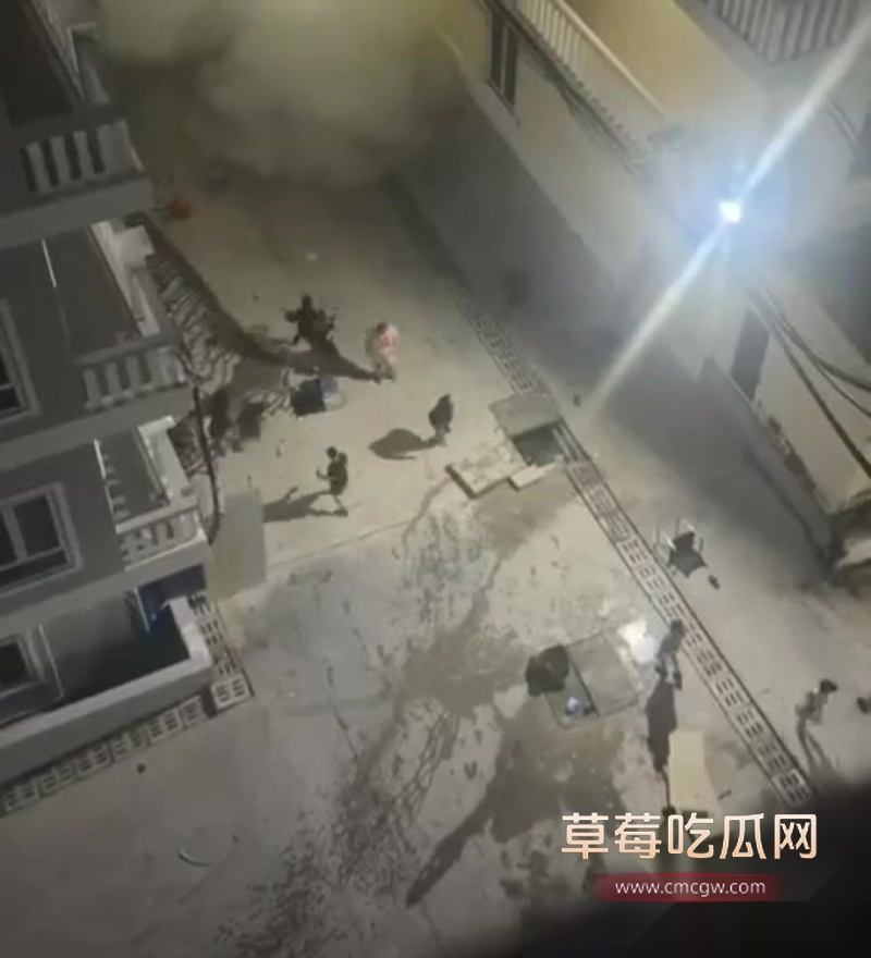 西港园区狗推与保安激烈干架全程曝光 8 西港园区狗推与保安激烈干架全程曝光 8