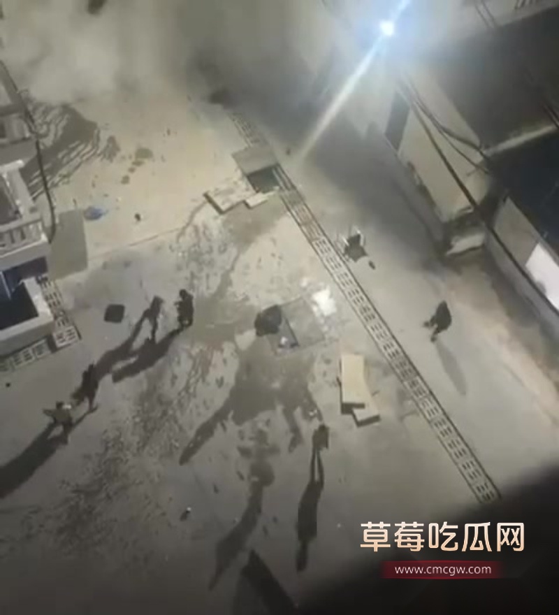 西港园区狗推与保安激烈干架全程曝光 9 西港园区狗推与保安激烈干架全程曝光 9