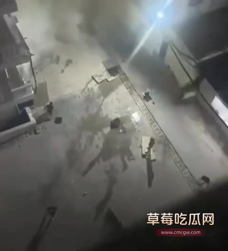 西港园区狗推与保安激烈干架全程曝光 10 西港园区狗推与保安激烈干架全程曝光 10