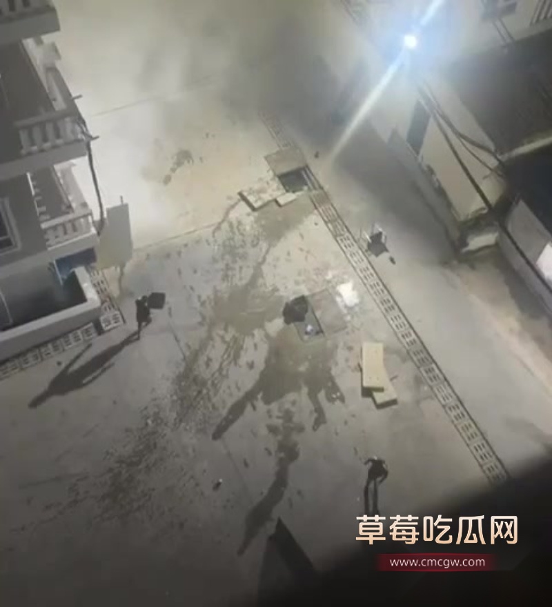 西港园区狗推与保安激烈干架全程曝光 11 西港园区狗推与保安激烈干架全程曝光 11