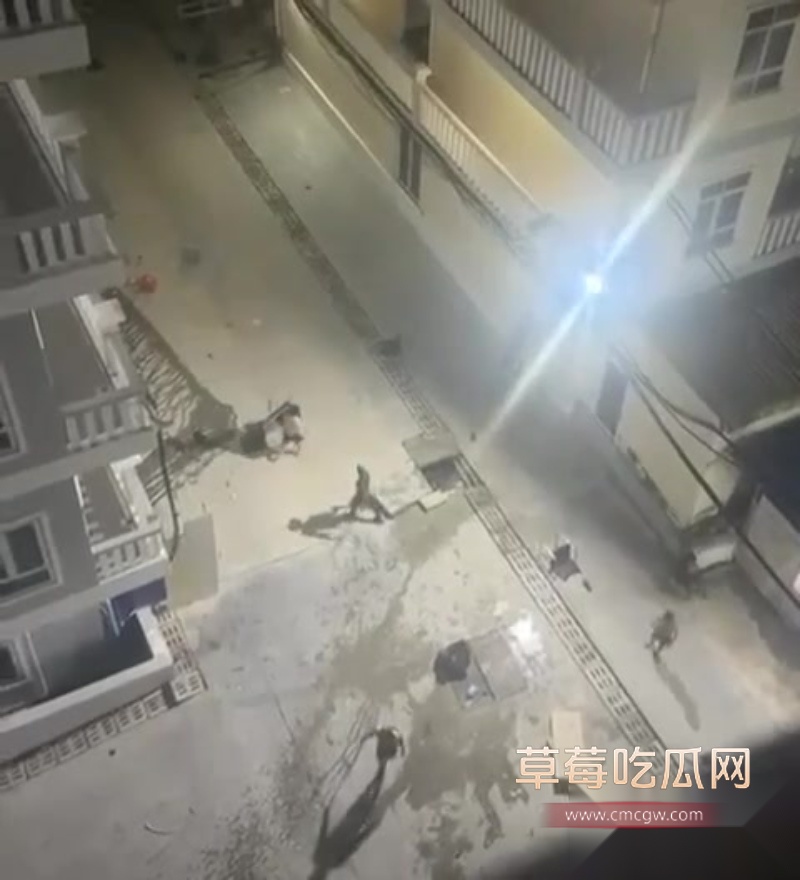 西港园区狗推与保安激烈干架全程曝光 12 西港园区狗推与保安激烈干架全程曝光 12