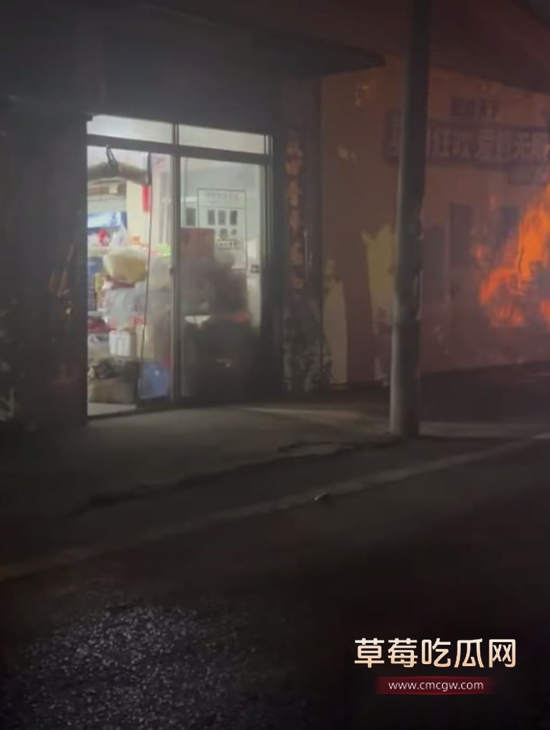 崽崽大王双马尾萝莉定制户外露出 11 崽崽大王双马尾萝莉定制户外露出 11