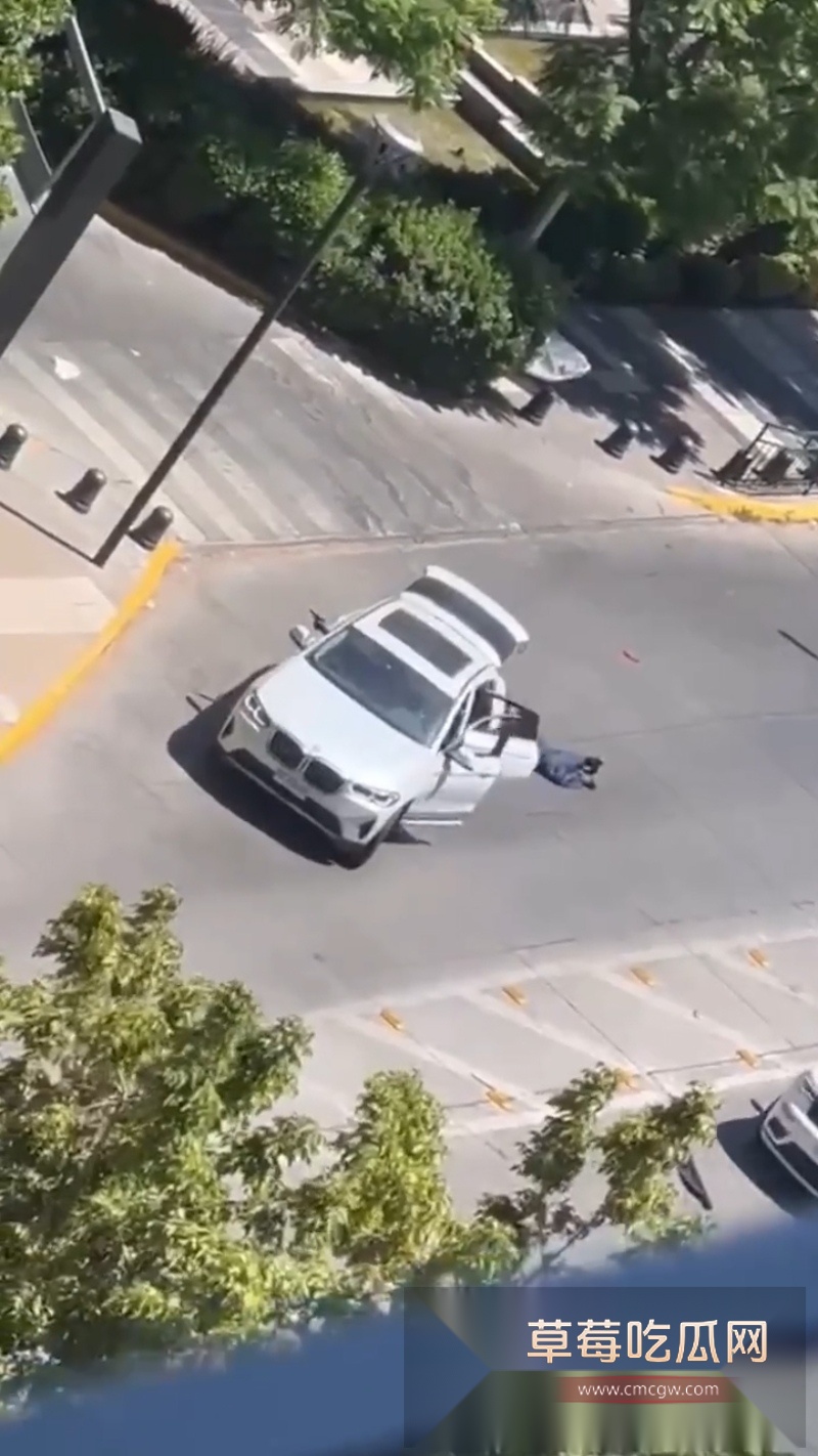 中国战略友好伙伴 智利 被爆出发生多起中国商人被绑票案件 3 中国战略友好伙伴 智利 被爆出发生多起中国商人被绑票案件 3