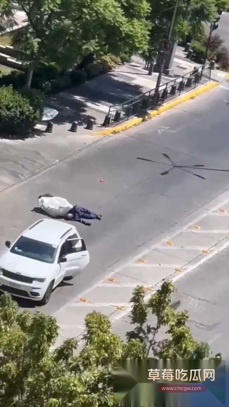 中国战略友好伙伴 智利 被爆出发生多起中国商人被绑票案件 4 中国战略友好伙伴 智利 被爆出发生多起中国商人被绑票案件 4