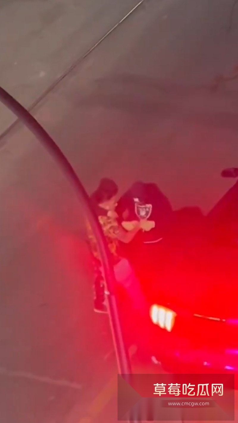 中国战略友好伙伴 智利 被爆出发生多起中国商人被绑票案件 7 中国战略友好伙伴 智利 被爆出发生多起中国商人被绑票案件 7