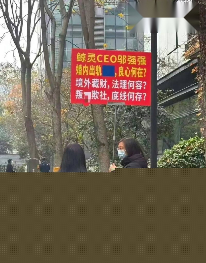 鲸灵CEO邬强强被公开举报14 鲸灵CEO邬强强被公开举报14