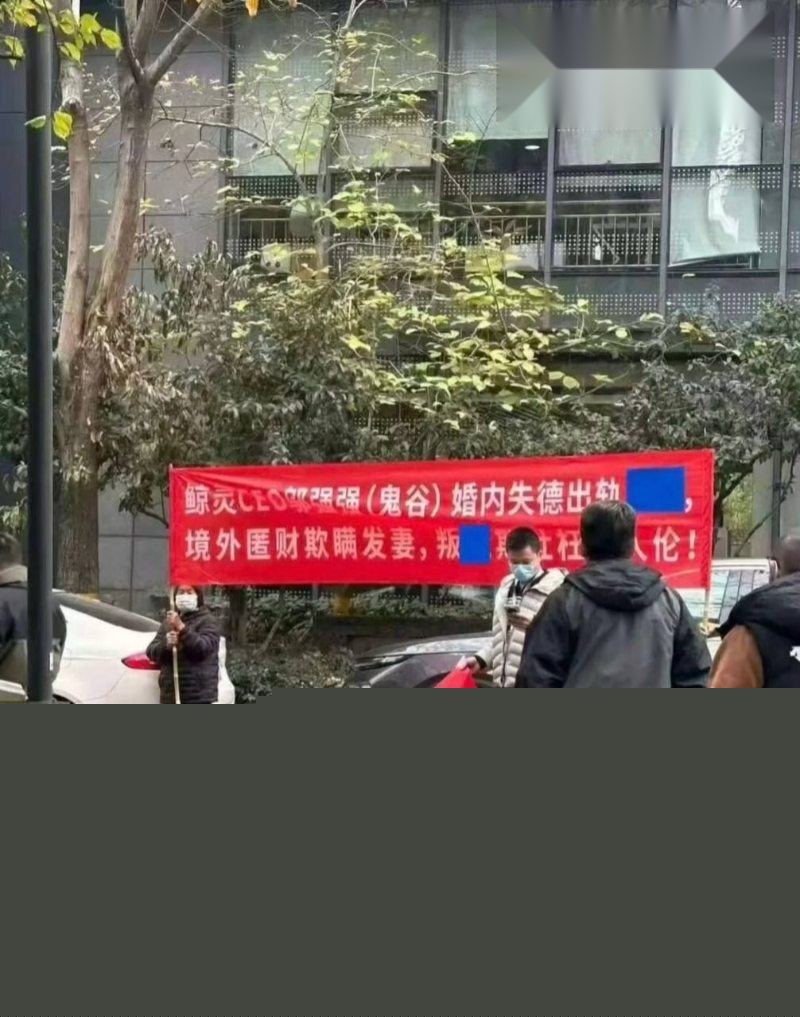 鲸灵CEO邬强强被公开举报16 鲸灵CEO邬强强被公开举报16