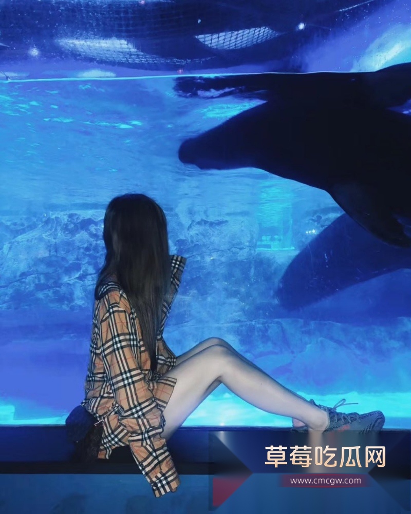 极品学生妹 刘静 跟金主酒店偷情视频泄漏 4